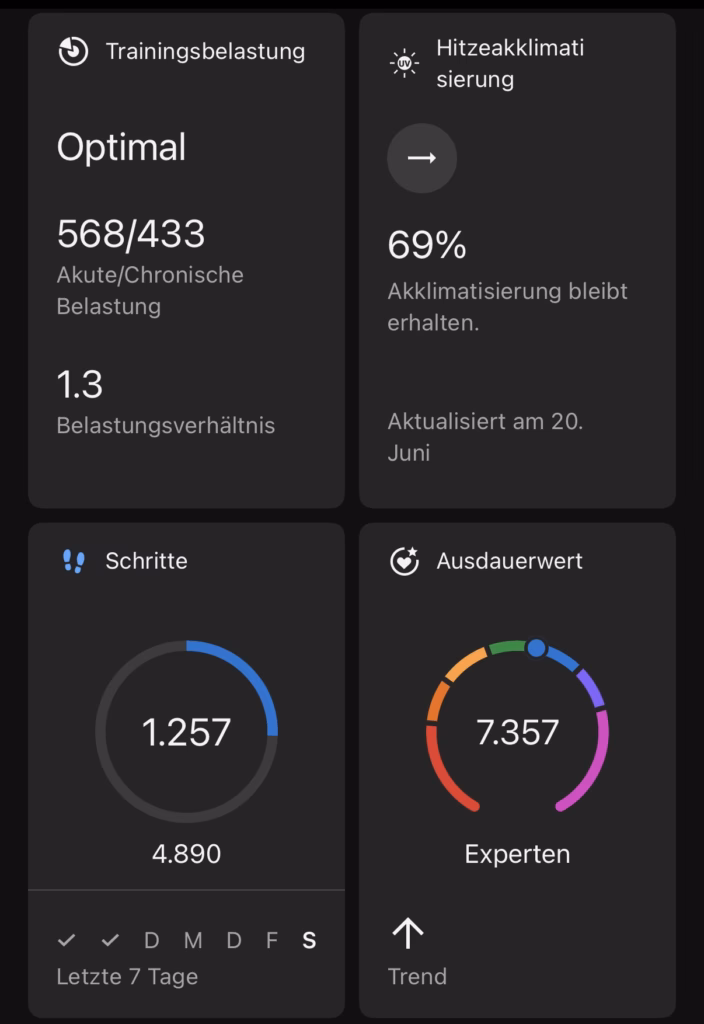 Garmin-Forerunner-970-Trainingsbelastung-Hitzeakklimatisierung-Schritte-Ausdauerwert